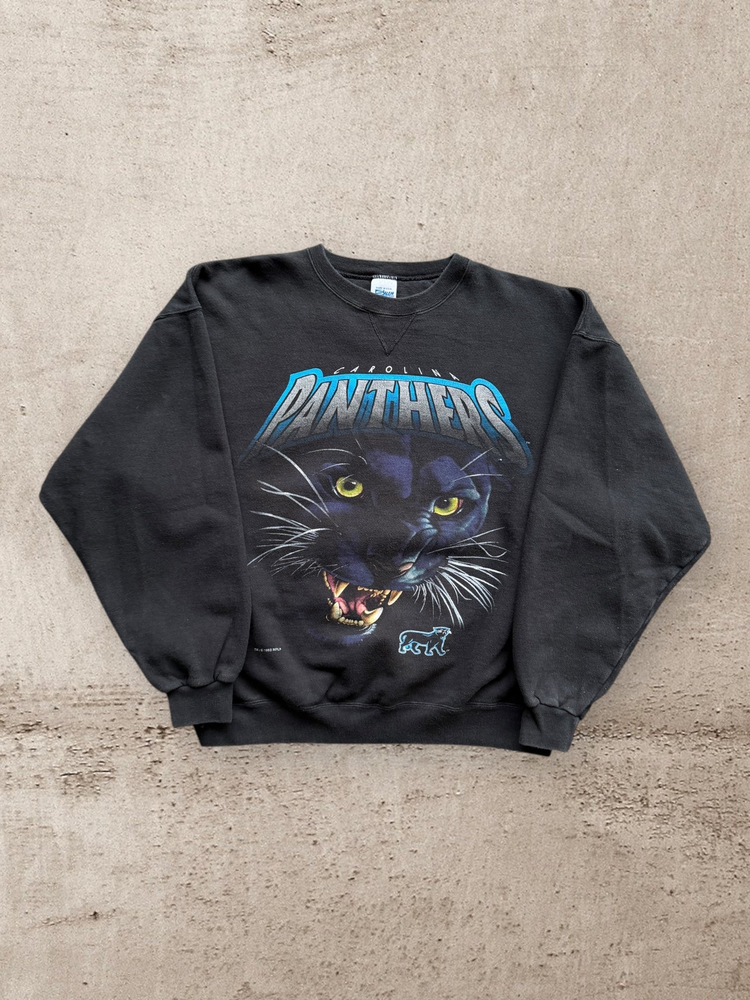 90s Salem Carolina Panthers Graphic Crewneck - Large