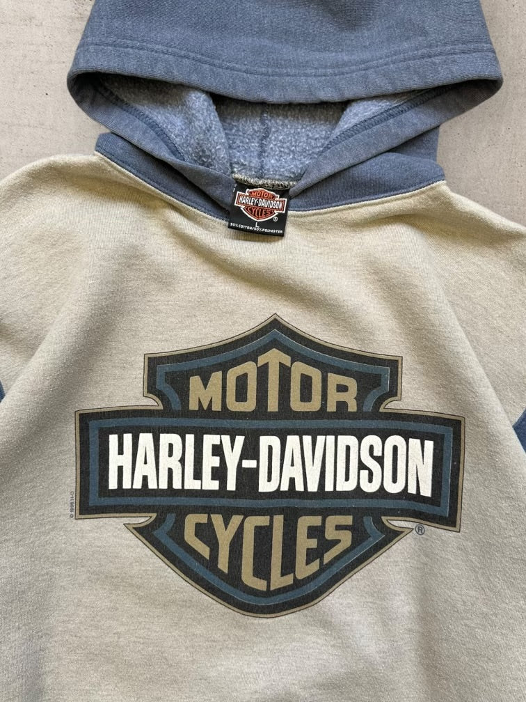 90s Harley Davidson Color Block Hoodie - Medium