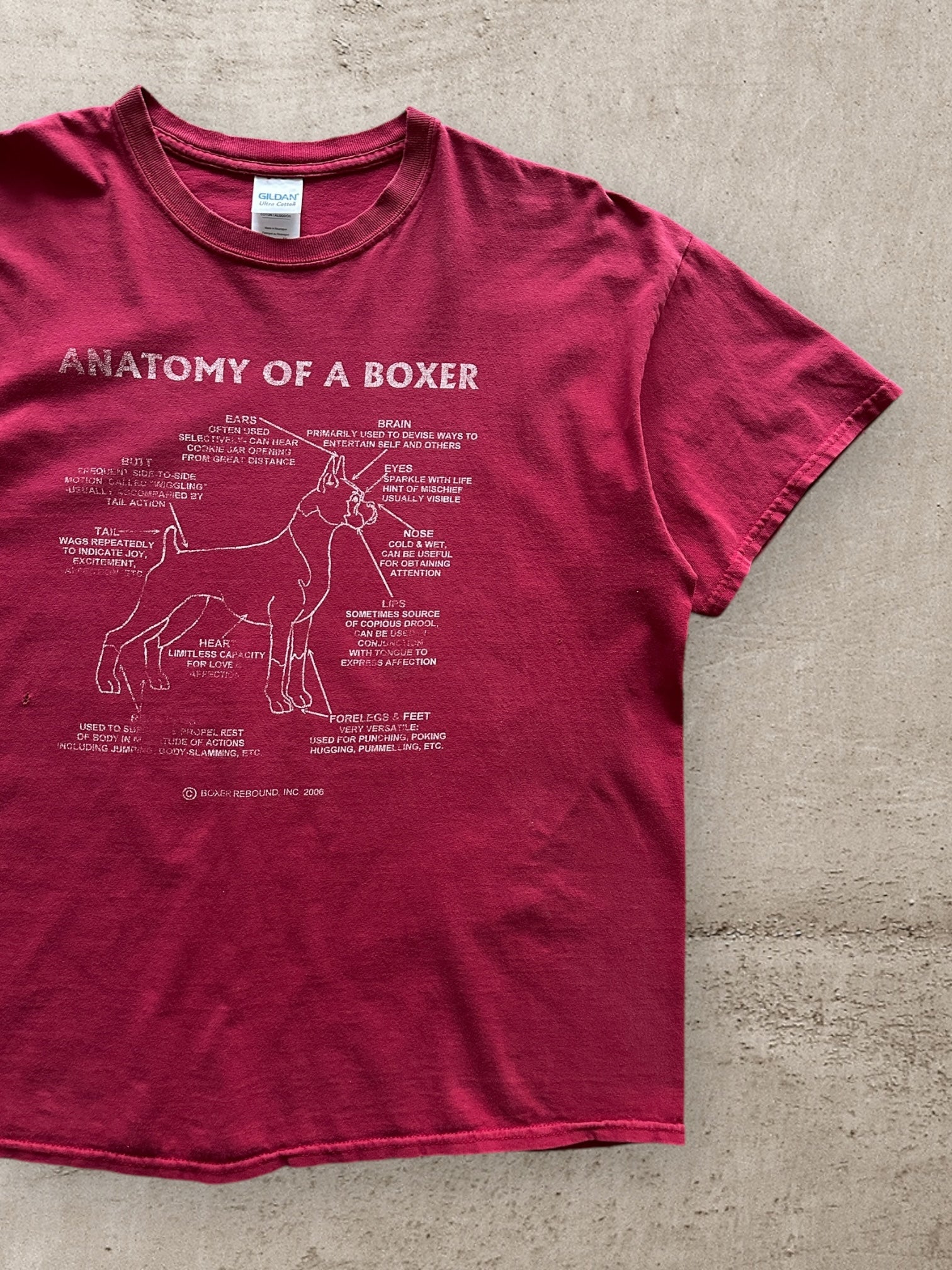 00s Anatomy of a Boxer Graphic T-Shirt - XL